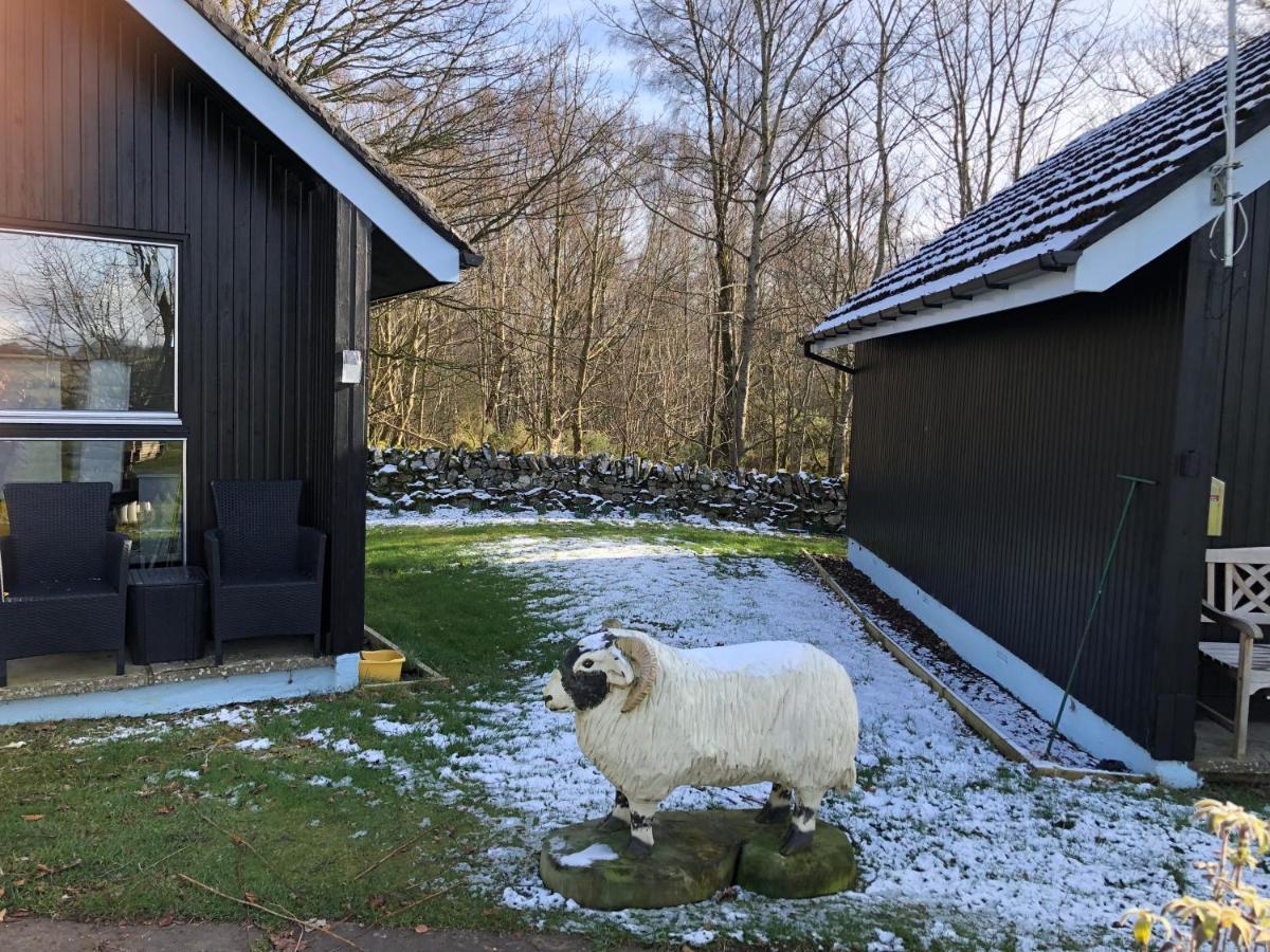 Kilcoy Chalets ミュアー・オブ・オード エクステリア 写真