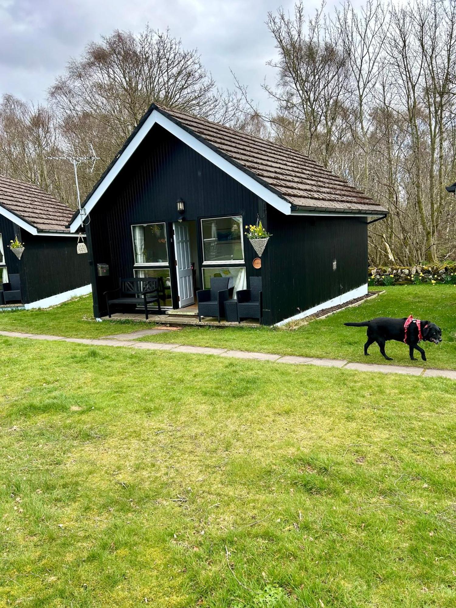 Kilcoy Chalets ミュアー・オブ・オード エクステリア 写真